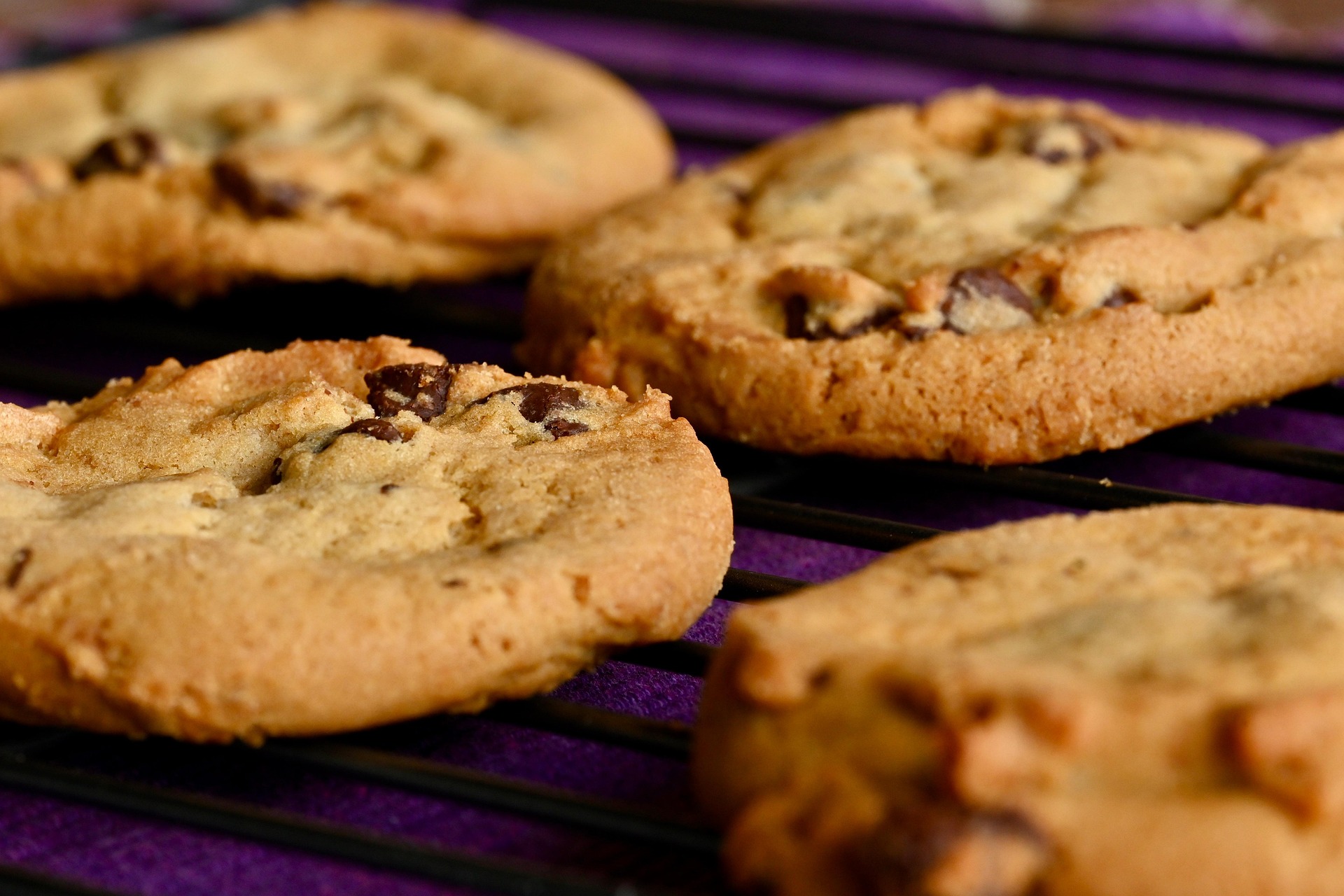 cookies-8082386_1920