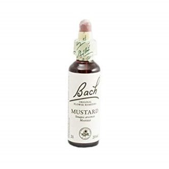 Bach (21) mustard
