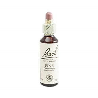 Bach (24) pine