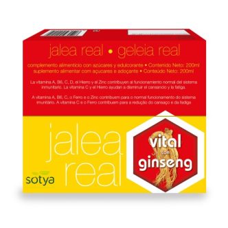 Jalea real vital con ginseng (18)