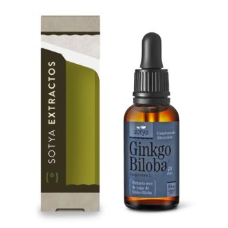 Extracto de gingko biloba