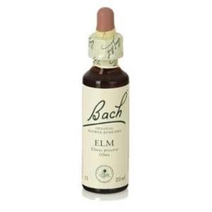 Bach (11) elm