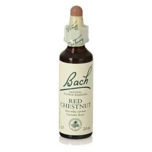 Bach (25) red chestnut