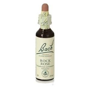 Bach (26) rock rose