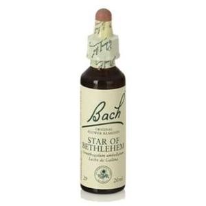Bach (29) star of bethlehem