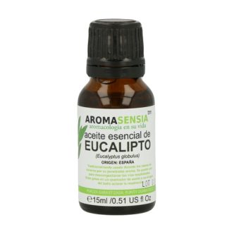 Eucalipto