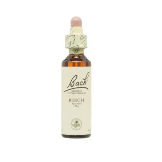 Bach (03) Beech