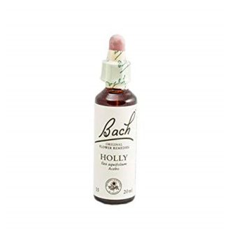 Bach (15) holly