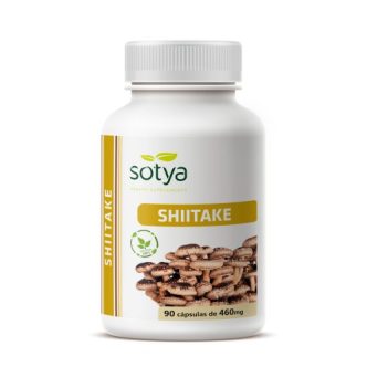 Shiitake