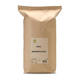 Castaño de indias