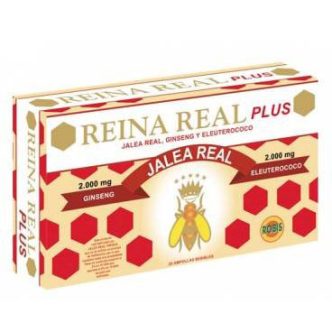 Reina Real plus