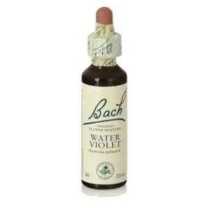 Bach (34) water violet