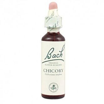 Bach (08) chicory
