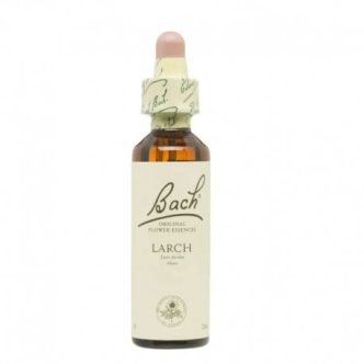 Bach (19) larch