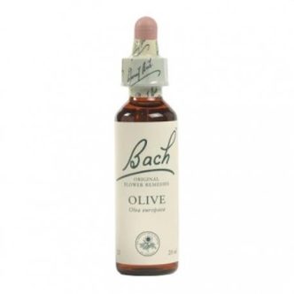 Bach (23) olive