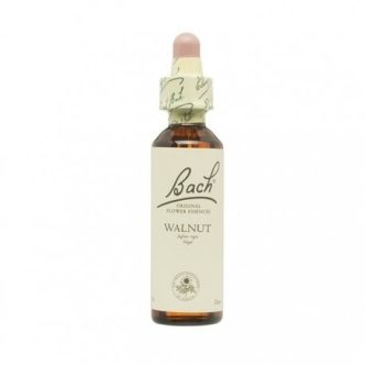 Bach (33) walnutnogal