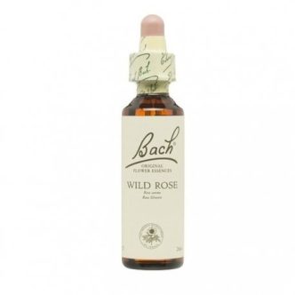 Bach (37) wild rose