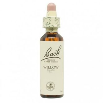Bach (38) willow