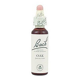 Bach (22) oak