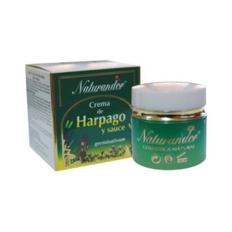 Crema de harpago + sauce